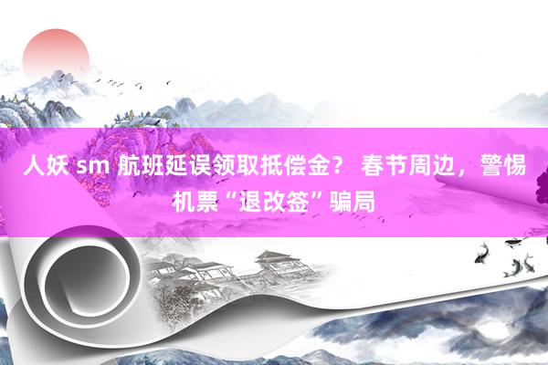 人妖 sm 航班延误领取抵偿金？ 春节周边，警惕机票“退改签”骗局