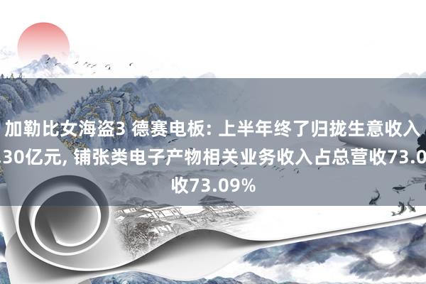 加勒比女海盗3 德赛电板: 上半年终了归拢生意收入89.30亿元， 铺张类电子产物相关业务收入占总营收73.09%