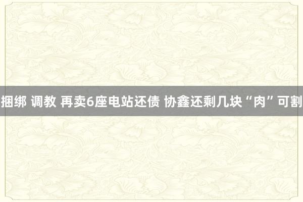 捆绑 调教 再卖6座电站还债 协鑫还剩几块“肉”可割