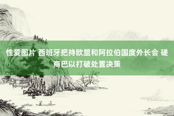 性爱图片 西班牙把持欧盟和阿拉伯国度外长会 磋商巴以打破处置决策