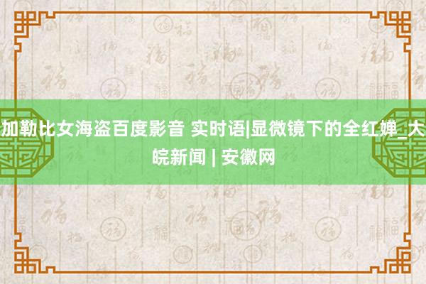 加勒比女海盗百度影音 实时语|显微镜下的全红婵_大皖新闻 | 安徽网