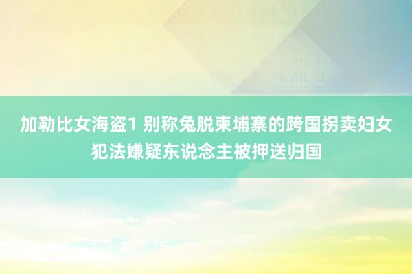 加勒比女海盗1 别称兔脱柬埔寨的跨国拐卖妇女犯法嫌疑东说念主被押送归国