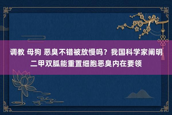 调教 母狗 恶臭不错被放慢吗？我国科学家阐明二甲双胍能重置细胞恶臭内在要领