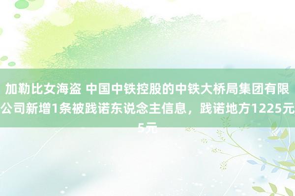 加勒比女海盗 中国中铁控股的中铁大桥局集团有限公司新增1条被践诺东说念主信息，践诺地方1225元