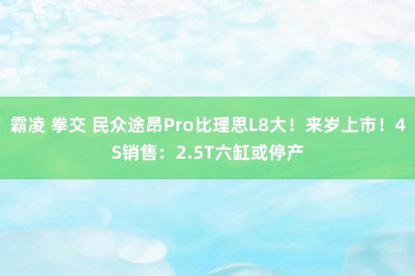 霸凌 拳交 民众途昂Pro比理思L8大！来岁上市！4S销售：2.5T六缸或停产