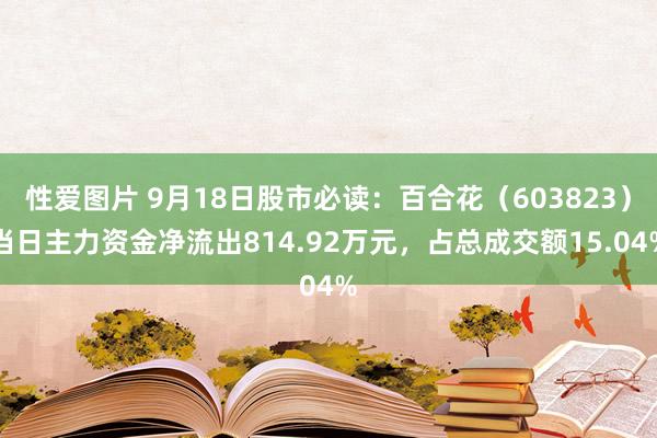 性爱图片 9月18日股市必读：百合花（603823）当日主力资金净流出814.92万元，占总成交额15.04%