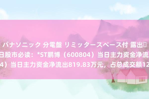 パナソニック 分電盤 リミッタースペース付 露出・半埋込両用形 9月18日股市必读：*ST鹏博（600804）当日主力资金净流出819.83万元，占总成交额12.3%