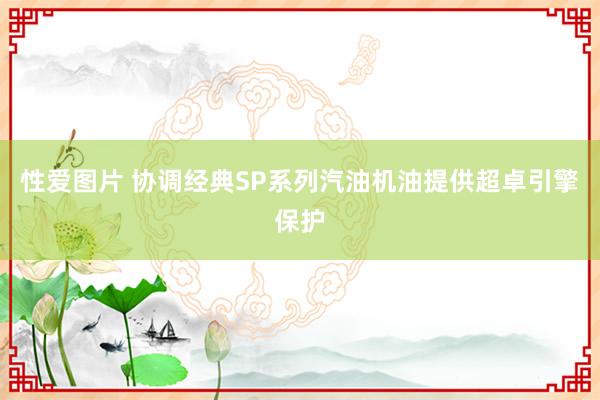 性爱图片 协调经典SP系列汽油机油提供超卓引擎保护