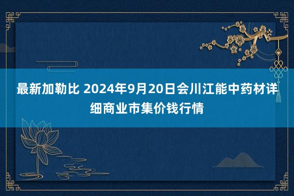 最新加勒比 2024年9月20日会川江能中药材详细商业市集价钱行情