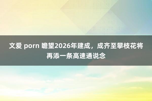 文爱 porn 瞻望2026年建成，成齐至攀枝花将再添一条高速通说念