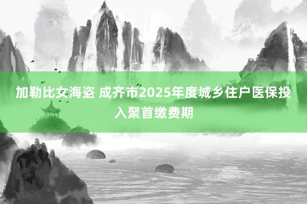 加勒比女海盗 成齐市2025年度城乡住户医保投入聚首缴费期