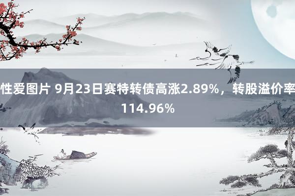 性爱图片 9月23日赛特转债高涨2.89%，转股溢价率114.96%