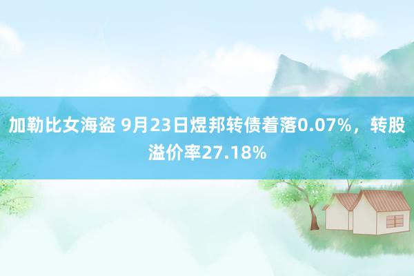 加勒比女海盗 9月23日煜邦转债着落0.07%，转股溢价率27.18%