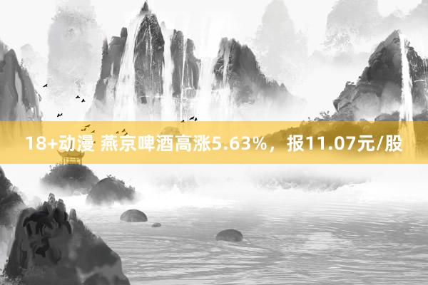 18+动漫 燕京啤酒高涨5.63%，报11.07元/股