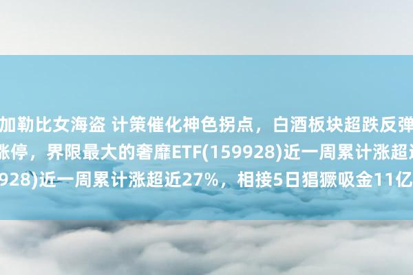 加勒比女海盗 计策催化神色拐点，白酒板块超跌反弹备受柔软，古井贡酒涨停，界限最大的奢靡ETF(159928)近一周累计涨超近27%，相接5日猖獗吸金11亿元！