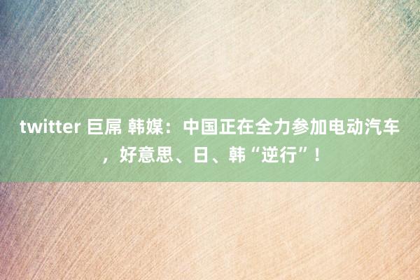 twitter 巨屌 韩媒：中国正在全力参加电动汽车，好意思、日、韩“逆行”！