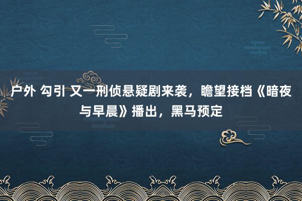 户外 勾引 又一刑侦悬疑剧来袭，瞻望接档《暗夜与早晨》播出，黑马预定