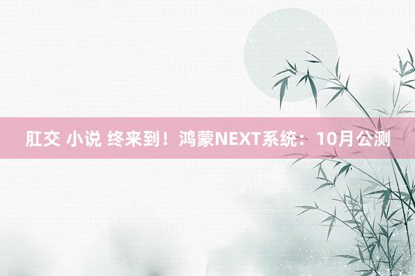 肛交 小说 终来到！鸿蒙NEXT系统：10月公测