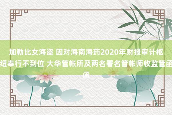 加勒比女海盗 因对海南海药2020年财报审计枢纽奉行不到位 大华管帐所及两名署名管帐师收监管函