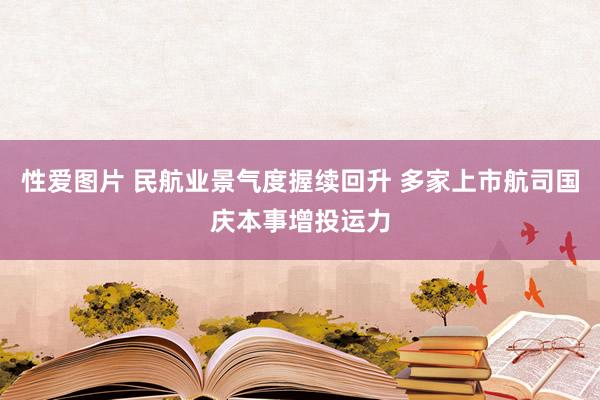 性爱图片 民航业景气度握续回升 多家上市航司国庆本事增投运力