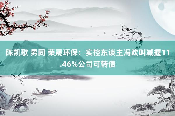 陈凯歌 男同 荣晟环保：实控东谈主冯欢叫减握11.46%公司可转债