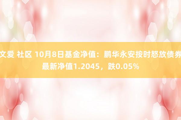 文爱 社区 10月8日基金净值：鹏华永安按时怒放债券最新净值1.2045，跌0.05%