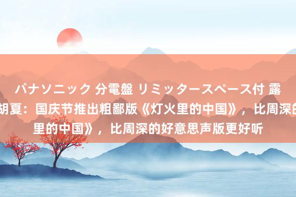 パナソニック 分電盤 リミッタースペース付 露出・半埋込両用形 胡夏：国庆节推出粗鄙版《灯火里的中国》，比周深的好意思声版更好听