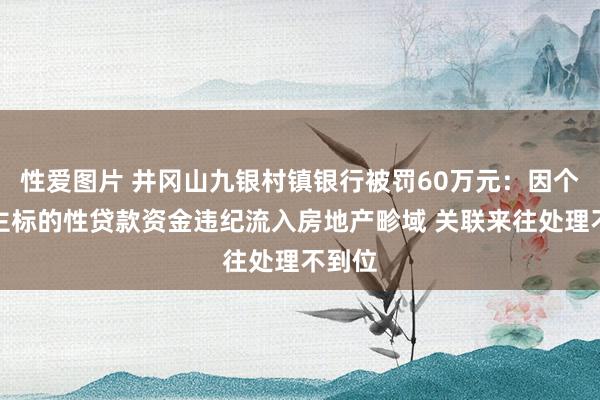 性爱图片 井冈山九银村镇银行被罚60万元：因个东谈主标的性贷款资金违纪流入房地产畛域 关联来往处理不到位