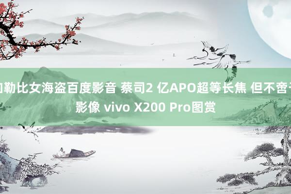 加勒比女海盗百度影音 蔡司2 亿APO超等长焦 但不啻于影像 vivo X200 Pro图赏