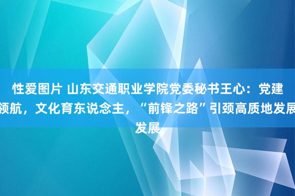 性爱图片 山东交通职业学院党委秘书王心：党建领航，文化育东说念主，“前锋之路”引颈高质地发展