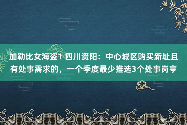 加勒比女海盗1 四川资阳：中心城区购买新址且有处事需求的，一个季度最少推选3个处事岗亭