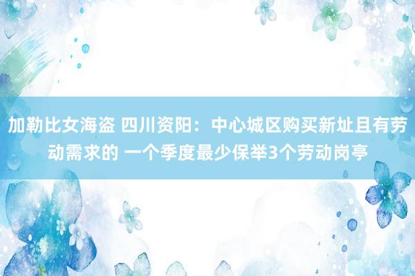 加勒比女海盗 四川资阳：中心城区购买新址且有劳动需求的 一个季度最少保举3个劳动岗亭