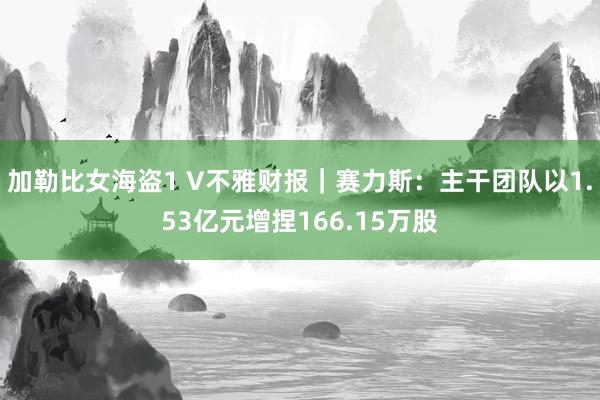 加勒比女海盗1 V不雅财报｜赛力斯：主干团队以1.53亿元增捏166.15万股