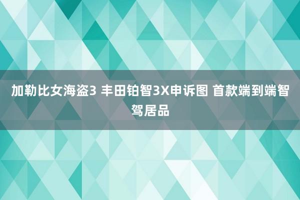 加勒比女海盗3 丰田铂智3X申诉图 首款端到端智驾居品