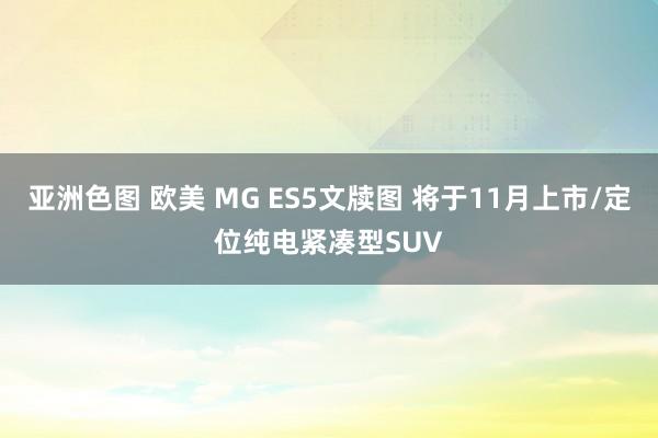 亚洲色图 欧美 MG ES5文牍图 将于11月上市/定位纯电紧凑型SUV