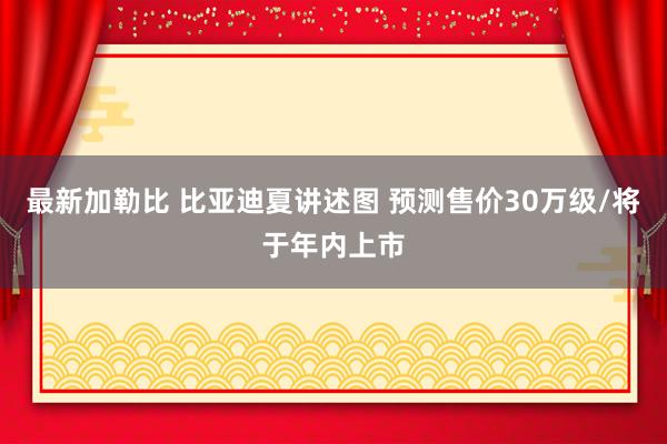 最新加勒比 比亚迪夏讲述图 预测售价30万级/将于年内上市