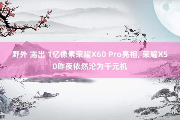 野外 露出 1亿像素荣耀X60 Pro亮相， 荣耀X50昨夜依然沦为千元机