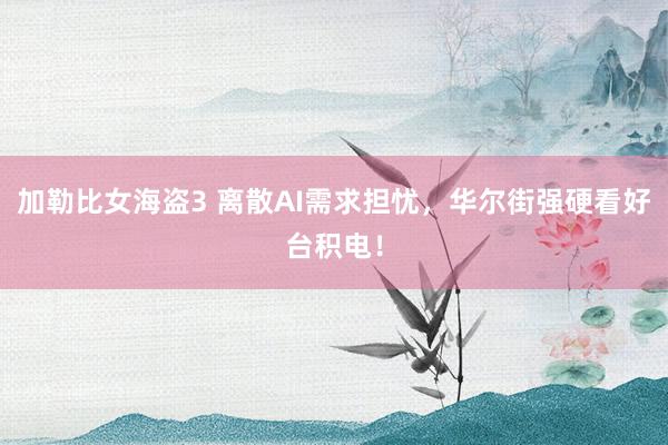 加勒比女海盗3 离散AI需求担忧，华尔街强硬看好台积电！