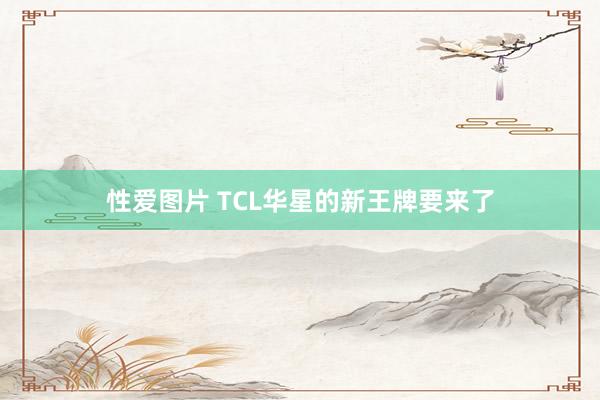 性爱图片 TCL华星的新王牌要来了