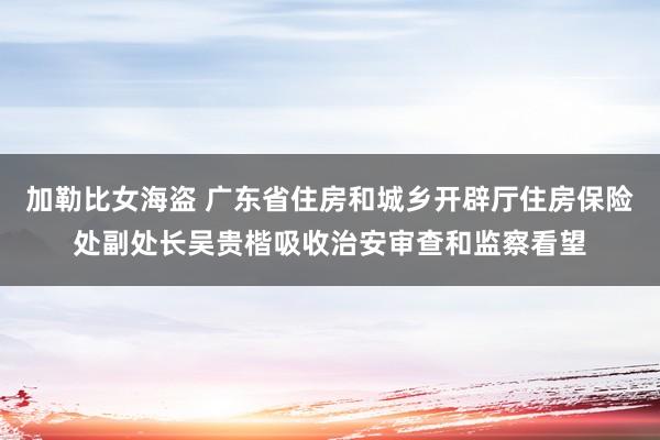 加勒比女海盗 广东省住房和城乡开辟厅住房保险处副处长吴贵楷吸收治安审查和监察看望