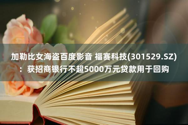 加勒比女海盗百度影音 福赛科技(301529.SZ)：获招商银行不超5000万元贷款用于回购