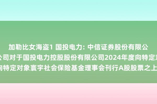 加勒比女海盗1 国投电力: 中信证券股份有限公司及国投证券股份有限公司对于国投电力控股股份有限公司2024年度向特定对象寰宇社会保险基金理事会刊行A股股票之上市保荐书现实提要