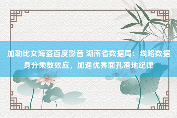 加勒比女海盗百度影音 湖南省数据局：线路数据身分乘数效应，加速优秀面孔落地纪律