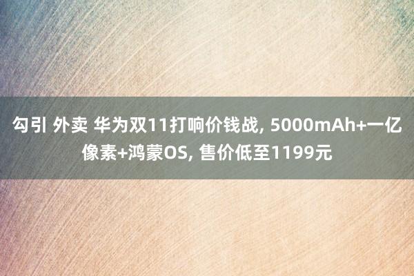 勾引 外卖 华为双11打响价钱战， 5000mAh+一亿像素+鸿蒙OS， 售价低至1199元