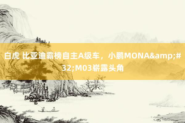 白虎 比亚迪霸榜自主A级车，小鹏MONA&#32;M03崭露头角