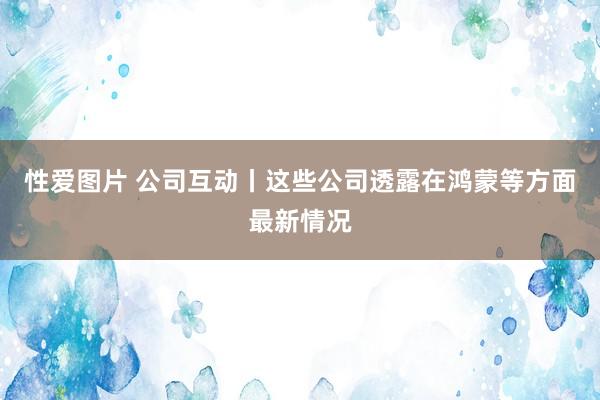 性爱图片 公司互动丨这些公司透露在鸿蒙等方面最新情况