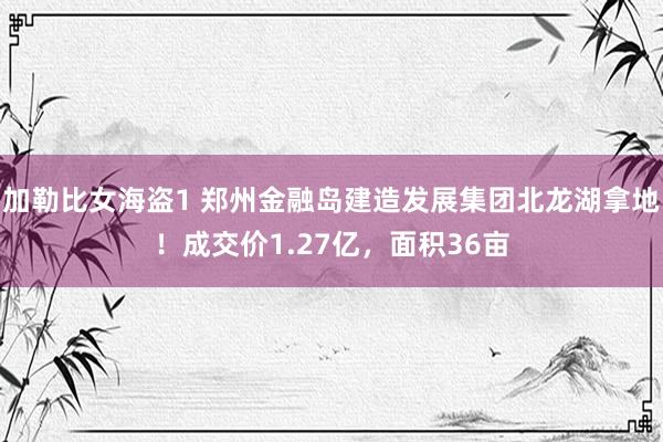 加勒比女海盗1 郑州金融岛建造发展集团北龙湖拿地！成交价1.27亿，面积36亩