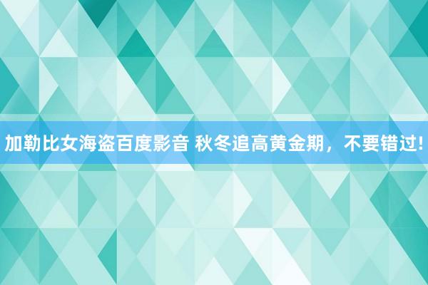 加勒比女海盗百度影音 秋冬追高黄金期，不要错过!