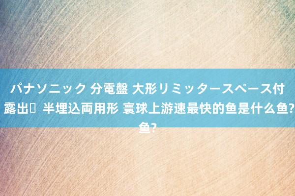 パナソニック 分電盤 大形リミッタースペース付 露出・半埋込両用形 寰球上游速最快的鱼是什么鱼?