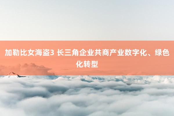 加勒比女海盗3 长三角企业共商产业数字化、绿色化转型